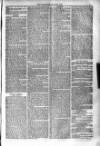 Bridport, Beaminster, and Lyme Regis Telegram Friday 26 July 1878 Page 5