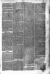 Bridport, Beaminster, and Lyme Regis Telegram Friday 20 September 1878 Page 5