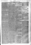 Bridport, Beaminster, and Lyme Regis Telegram Friday 11 October 1878 Page 5