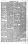 Bridport, Beaminster, and Lyme Regis Telegram Friday 01 November 1878 Page 5