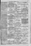 Bridport, Beaminster, and Lyme Regis Telegram Friday 06 December 1878 Page 9