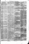 Bridport, Beaminster, and Lyme Regis Telegram Friday 23 January 1880 Page 5
