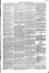 Bridport, Beaminster, and Lyme Regis Telegram Friday 20 February 1880 Page 7
