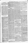 Bridport, Beaminster, and Lyme Regis Telegram Friday 21 January 1881 Page 5