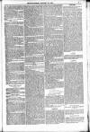 Bridport, Beaminster, and Lyme Regis Telegram Friday 28 January 1881 Page 5