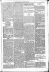 Bridport, Beaminster, and Lyme Regis Telegram Friday 28 January 1881 Page 7