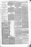 Bridport, Beaminster, and Lyme Regis Telegram Friday 04 February 1881 Page 3