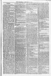 Bridport, Beaminster, and Lyme Regis Telegram Friday 11 February 1881 Page 3