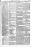 Bridport, Beaminster, and Lyme Regis Telegram Friday 25 February 1881 Page 7