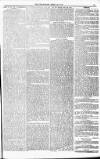 Bridport, Beaminster, and Lyme Regis Telegram Friday 29 April 1881 Page 13