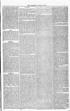 Bridport, Beaminster, and Lyme Regis Telegram Friday 03 June 1881 Page 7