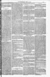 Bridport, Beaminster, and Lyme Regis Telegram Friday 01 July 1881 Page 13