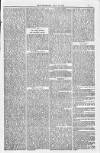 Bridport, Beaminster, and Lyme Regis Telegram Friday 15 July 1881 Page 7