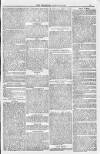 Bridport, Beaminster, and Lyme Regis Telegram Friday 26 August 1881 Page 7