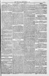 Bridport, Beaminster, and Lyme Regis Telegram Friday 02 September 1881 Page 13
