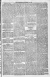 Bridport, Beaminster, and Lyme Regis Telegram Friday 23 September 1881 Page 5