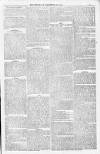 Bridport, Beaminster, and Lyme Regis Telegram Friday 23 September 1881 Page 7