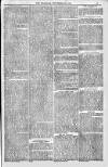 Bridport, Beaminster, and Lyme Regis Telegram Friday 23 September 1881 Page 13