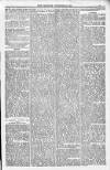 Bridport, Beaminster, and Lyme Regis Telegram Friday 25 November 1881 Page 5