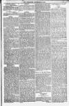 Bridport, Beaminster, and Lyme Regis Telegram Friday 16 December 1881 Page 5