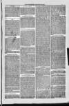 Bridport, Beaminster, and Lyme Regis Telegram Friday 20 January 1882 Page 7