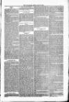 Bridport, Beaminster, and Lyme Regis Telegram Friday 10 February 1882 Page 7