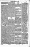 Bridport, Beaminster, and Lyme Regis Telegram Friday 28 April 1882 Page 13