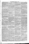 Bridport, Beaminster, and Lyme Regis Telegram Friday 08 February 1884 Page 5