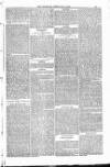Bridport, Beaminster, and Lyme Regis Telegram Friday 08 February 1884 Page 13