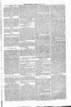 Bridport, Beaminster, and Lyme Regis Telegram Friday 15 February 1884 Page 5