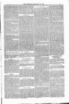 Bridport, Beaminster, and Lyme Regis Telegram Friday 15 February 1884 Page 7