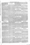 Bridport, Beaminster, and Lyme Regis Telegram Friday 15 February 1884 Page 13