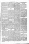 Bridport, Beaminster, and Lyme Regis Telegram Friday 30 May 1884 Page 7