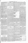 Bridport, Beaminster, and Lyme Regis Telegram Friday 13 June 1884 Page 13