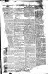 Bridport, Beaminster, and Lyme Regis Telegram Friday 02 January 1885 Page 5