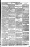 Bridport, Beaminster, and Lyme Regis Telegram Friday 30 January 1885 Page 7