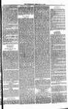 Bridport, Beaminster, and Lyme Regis Telegram Friday 06 February 1885 Page 7