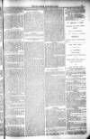 Bridport, Beaminster, and Lyme Regis Telegram Friday 08 January 1886 Page 9