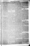 Bridport, Beaminster, and Lyme Regis Telegram Friday 22 January 1886 Page 5