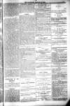 Bridport, Beaminster, and Lyme Regis Telegram Friday 29 January 1886 Page 9