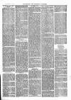 Brighouse & Rastrick Gazette Saturday 13 December 1879 Page 3