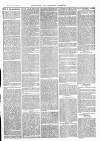 Brighouse & Rastrick Gazette Saturday 23 April 1881 Page 3