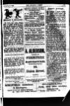 Halifax Comet Saturday 02 November 1895 Page 11