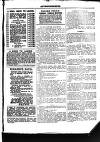 Halifax Comet Saturday 09 November 1895 Page 23