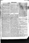 Halifax Comet Saturday 16 November 1895 Page 29