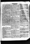 Halifax Comet Saturday 07 December 1895 Page 29