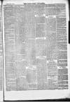 Kenilworth Advertiser Thursday 17 February 1870 Page 3