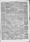 Kenilworth Advertiser Thursday 08 June 1871 Page 3