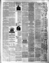 Kenilworth Advertiser Saturday 27 November 1875 Page 3