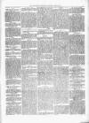 Kenilworth Advertiser Saturday 03 March 1877 Page 3